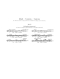wolfgang-amadeus-mozart-sonaten-vol-1-vl-pno-_urte_0006.JPG