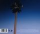 endless-summer-vacation-cyrus-miley-cd-_0002.JPG