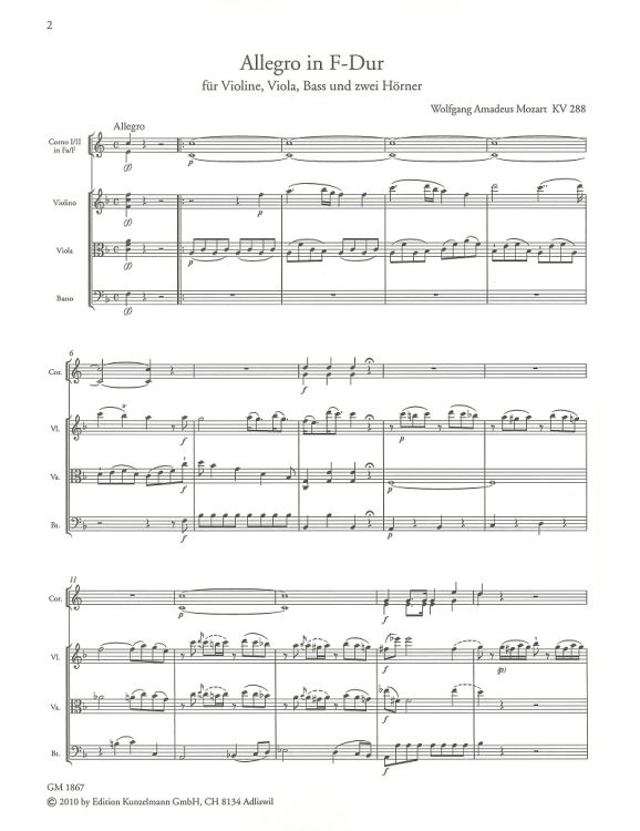 wolfgang-amadeus-mozart-allegro-kv-288-f-major-2hr_0002.jpg