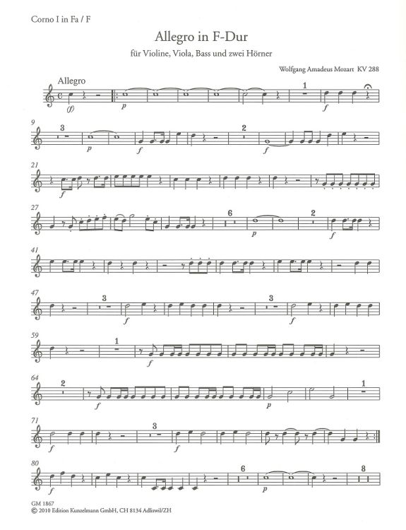 wolfgang-amadeus-mozart-allegro-kv-288-f-major-2hr_0003.jpg