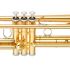 trompette-en-si-bemol-yamaha-ytr-4335-gii-laque-do_0002.jpg