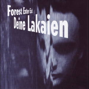 forest-enter-exit--mindmachine-silver-vinyl-deine-_0001.JPG