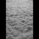 schnee-paysage-d-hiver-lp-analog-_0001.JPG