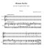 joseph-franck-leichte-messe-op-156-fch-org-_orgpar_0002.jpg