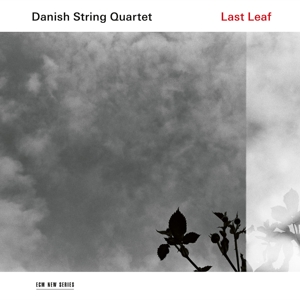 last-leaf-danish-string-quartet-ecm-new-series-cd-_0001.JPG