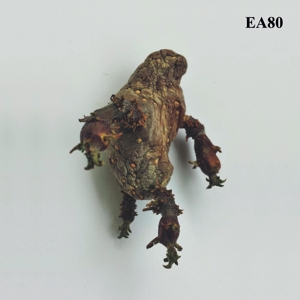 single-ea-80-major-label-lp-analog-_0001.JPG