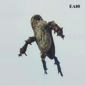 single-ea-80-major-label-lp-analog-_0002.JPG