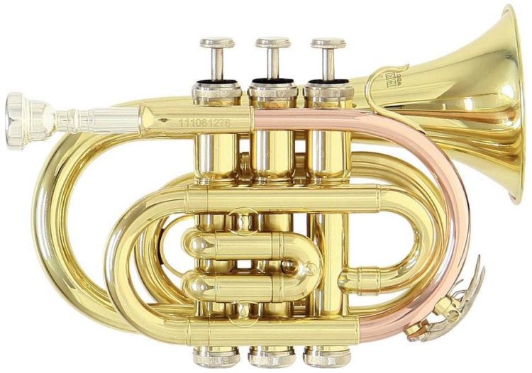cornet-sib-roy-benson-taschencornet-pt-101-laque-d_0001.jpg