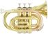cornet-sib-roy-benson-taschencornet-pt-101-laque-d_0001.jpg