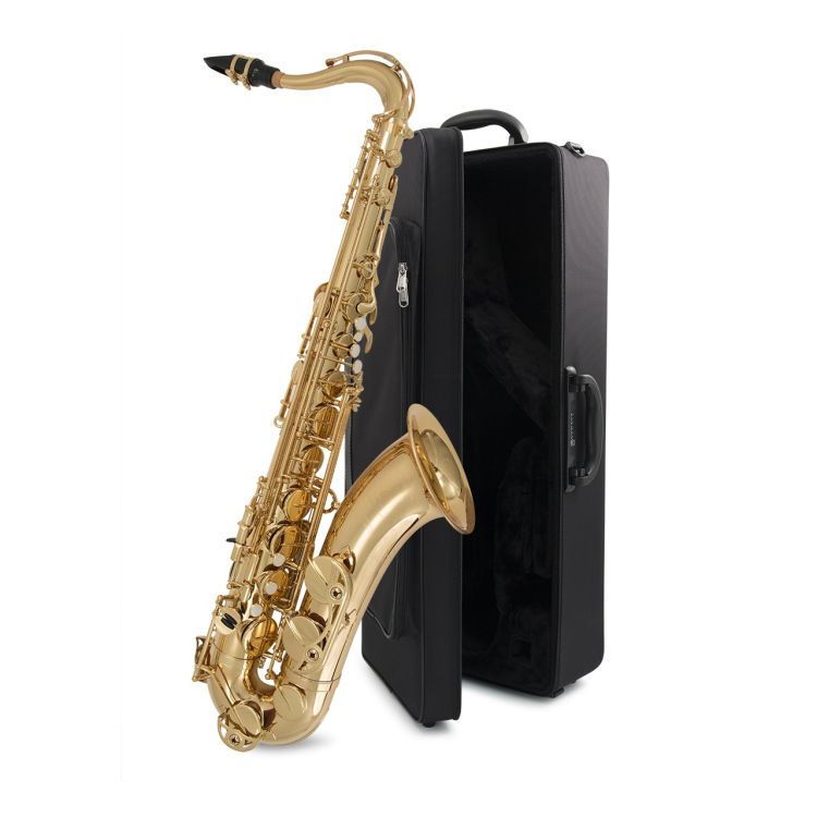 alt-saxophon-yamaha-yas-480-lackiert-_0005.jpg