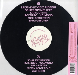 haare-eines-hundes-traenen-eklat-tontraeger-gmbh-l_0002.JPG