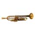 trumpet-in-bb-mandala-draco-5-estrellas-lacquered-_0001.jpg