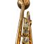 trumpet-in-bb-mandala-draco-5-estrellas-lacquered-_0003.jpg