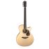 guitare-folk-furch-modele-blue-barc-sw-eas-vtc-nat_0001.jpg