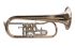 bugle-oberrauch-meinlschmidt-laque-dore-_0001.jpg