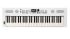 clavier-roland-modele-go-keys-5-_0001.jpg