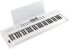 clavier-roland-modele-go-keys-5-_0004.jpg