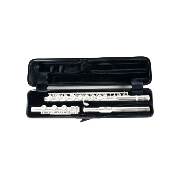 etui-querfloete-bam-4009xl-carbon-schwarz-_0003.jpg