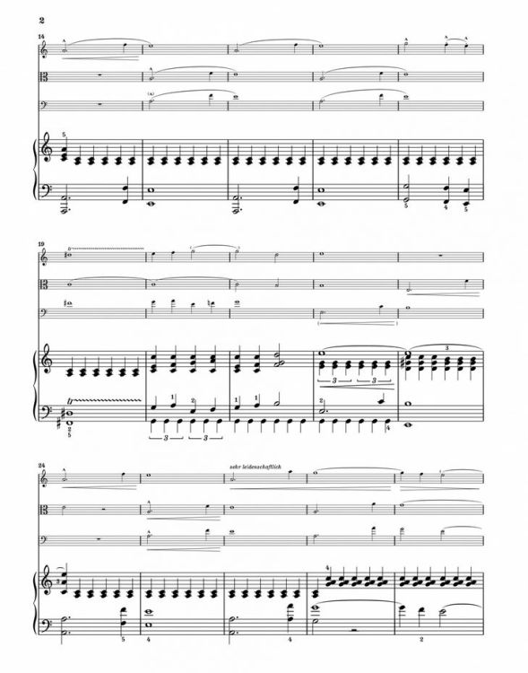 gustav-mahler-quartettsatz-a-moll-vl-va-vc-pno-_ps_0003.jpg