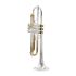 b-trompete-carol-brass-mariachi-lackiert-gold-_0003.jpg