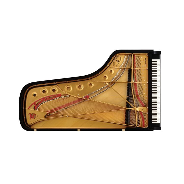 fluegel-steinway--sons-d-274-schwarz-poliert-ausst_0003.jpg