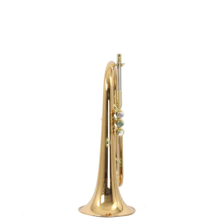 flugelhorn-carol-brass-rose-lacquered-_0002.jpg