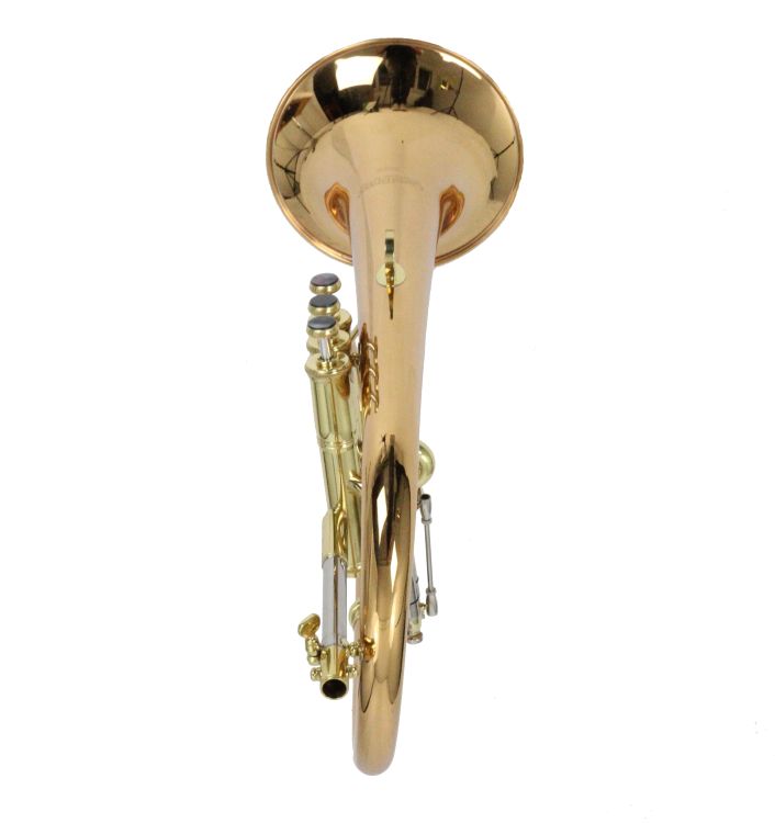 flugelhorn-carol-brass-rose-lacquered-_0005.jpg