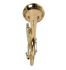 flugelhorn-carol-brass-rose-lacquered-_0005.jpg