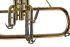 flugelhorn-carol-brass-rose-lacquered-_0006.jpg