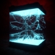 void-scalping-houndstooth-cd-_0001.JPG