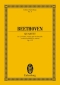 ludwig-van-beethoven-quartett-op-132-a-moll-2vl-va_0001.JPG