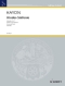 joseph-haydn-kindersinfonie-schulorch-_pst_-_0001.JPG