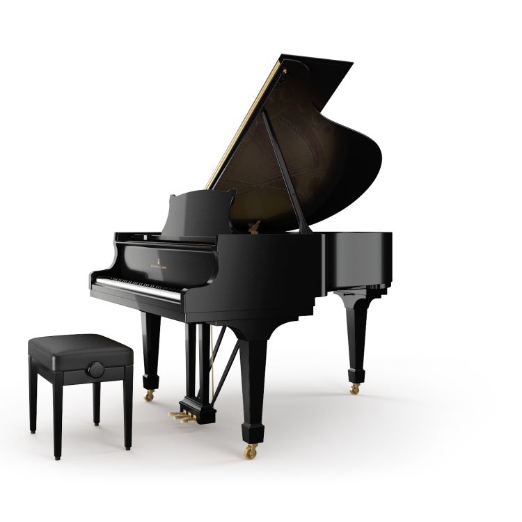 fluegel-steinway--sons-modell-m-170-schwarz-polier_0001.jpg