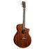 western-guitar-martin-guitar-model-sc-10e-sapele-m_0001.jpg