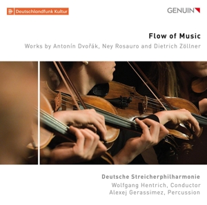 flow-of-music-deutsche-streicherphilharmonie-genui_0001.JPG