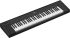 d-piano-yamaha-model-np-15-b-black-_0001.jpg