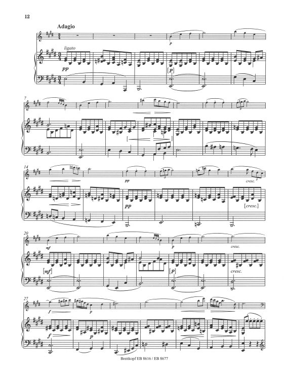 franz-schubert-sonate-arpeggione-d-821-a-moll-va-p_0003.jpg