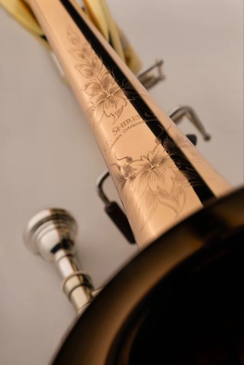 trombone-basse-shires-tbbve-vintage-elkhart-laque-_0003.jpg