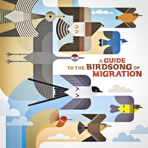 a-guide-to-the-birdsong-of-migration-various-shika_0001.JPG