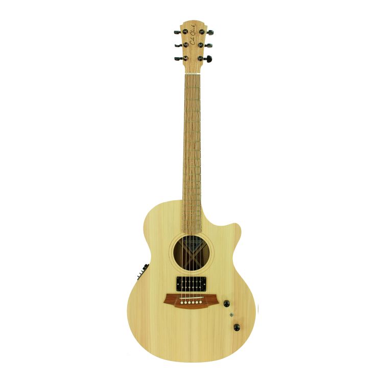 guitare-folk-cole-clark-modele-an1ec-bb-hum-nature_0001.jpg