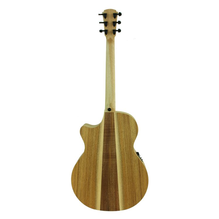 guitare-folk-cole-clark-modele-an1ec-bb-hum-nature_0002.jpg