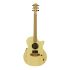 guitare-folk-cole-clark-modele-an1ec-bb-hum-nature_0001.jpg