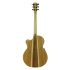 guitare-folk-cole-clark-modele-an1ec-bb-hum-nature_0002.jpg