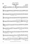 beschwingte-rhythmen-vol-2-vari-bes-_tubabb-es-4-s_0006.JPG