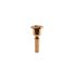 embouchure-cornet-a-pistons-denis-wick-3181g-4-dor_0001.jpg