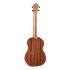 baritonukulele-baton-rouge-modell-v2-b-sun-mahagon_0003.jpg