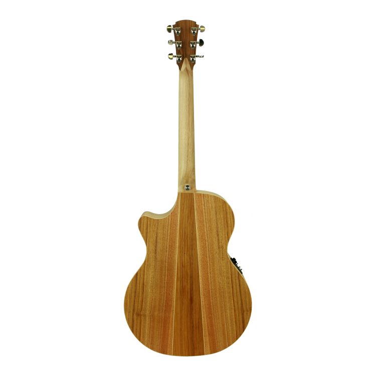 guitare-folk-cole-clark-modele-an2ec-blbl-hum-natu_0002.jpg