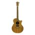 guitare-folk-cole-clark-modele-an2ec-blbl-hum-natu_0001.jpg
