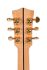 guitare-folk-sigma-modele-gjasg200-an-acoustic-ele_0006.jpg