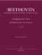 ludwig-van-beethoven-sinfonie-no-9-op-125-d-moll-g_0001.JPG